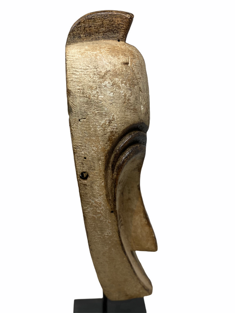 Fang Mask