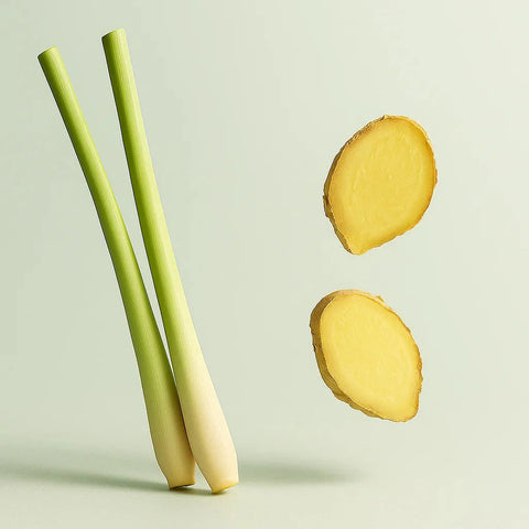 Lemongrass & Ginger - XXL Wax Melt Bar 100g