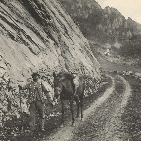 Les Pyrénées - Retour d'Excursion France Postcard Vintage
