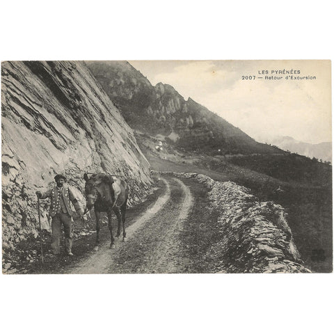 Les Pyrénées - Retour d'Excursion France Postcard Vintage