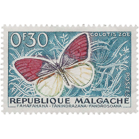 Madagascar Stamp 1960 0.3 French African CFA franc Violet Tip (Colotis zoe) Butterflies