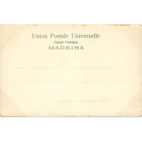 Madeira, Portugal – Garden Pond with Miniature House – Postcard