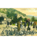 Monte Carlo, Monaco - Les Pigeons sur la Place du Casino Postcard