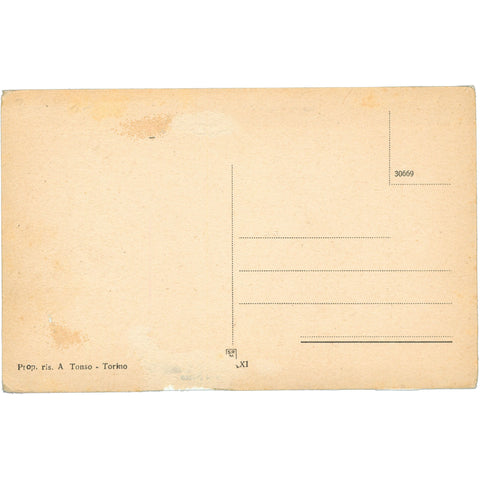 North African Market Scene – Mid - 20th Century Postcard