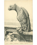 Paris, France – Chimera of Notre - Dame Cathedral – Postcard