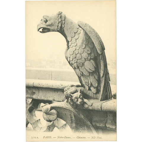 Paris, France – Chimera of Notre - Dame Cathedral – Postcard