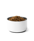 White 18 oz stainless steel pet bowl – plain back – mockup 6 – ZIPZAPPA