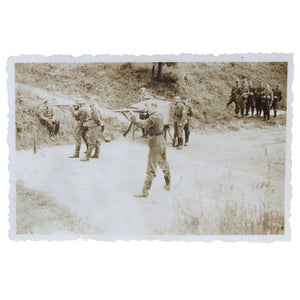 Descriptive image text