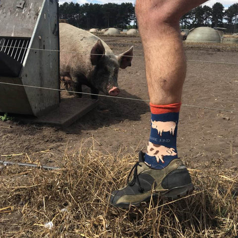 Farm 4 Pack Bamboo Sock Set