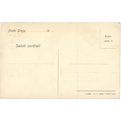 Ponte Tresa, Italy – Panorama of the Mountains and Lake Lugano Postcard