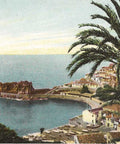 Portugal Câmara de Lobos, Madeira Postcard Vintage