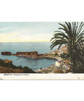 Portugal Câmara de Lobos, Madeira Postcard Vintage