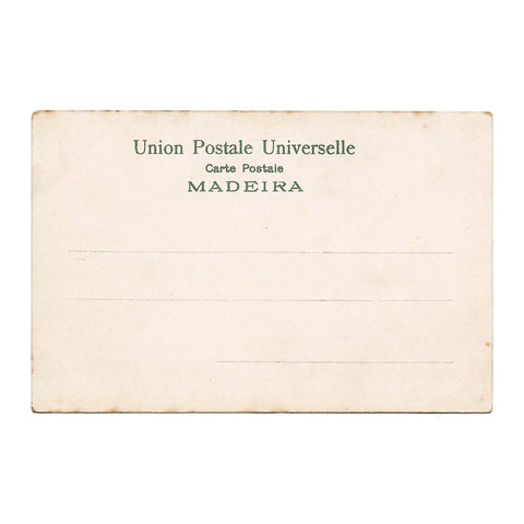 Portugal Câmara de Lobos, Madeira Postcard Vintage