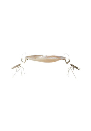 "Praying for your Caviar" Silver Praying Mantis and Shell Tray