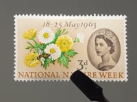 1963 3 d Elizabeth II Stamp United Kingdom National Nature Week Buttercup, Common Daisy, Honey Bee