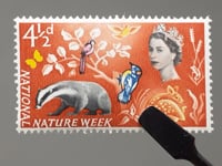 1963 4.5 d Elizabeth II Stamp United Kingdom National Nature Week European Badger (Meles meles), Roe Deer