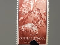1958 10+5 Centimos espagnols Timbre espagnol de Guinée Monarque africain (Danaus chrysippus)