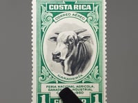 1950 1 Costa Rica Céntimo Costa Rica Stamp Stock Bull (Bos primigenius taurus) Exposition agricole à Cartago