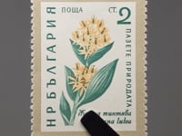 1960 2 Stotinka bulgare Bulgarie Timbre Fleurs de gentiane jaune