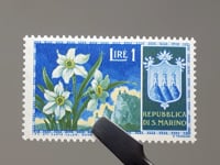 Timbre Saint-Marin 1953 1 Lire Saint-Marin Fleurs de Narcisse