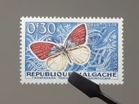 Timbre Madagascar 1960 0.3 Franc CFA Afrique Française Pointe Violette (Colotis zoe) Papillons