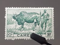 Cameroon Stamp 1946 10 French centime Zebu (Bos primigenius indicus), Herdsman