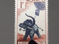Timbre Monaco 1955 1 Franc Monégasque Eléphant d'Afrique (Loxodonta africana) avec Corde d'Ancre
