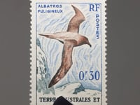Timbre des Terres australes et antarctiques françaises (TAAF) 1959 0,3 franc français Albatros à manteau clair (Phoebetria palpebrata) Oiseaux
