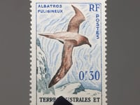 French Southern and Antarctic Lands (TAAF) Stamp 1959 0.3 French franc Light-mantled Albatross (Phoebetria palpebrata) Birds