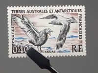 Französische Süd- und Antarktisgebiete (TAAF) Briefmarke 1959 0,4 französische Franc Raubmöwen (Stercorarius antarcticus) Vögel