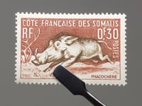 French Stamp 1959 0.3 Franc Brown Common Warthog (Phacochoerus africanus)