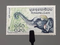 Laos-Briefmarke 1958 0,2 Lao-Kip Asiatischer Elefant (Elephas maximus)