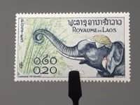 Laos Stamp 1958 0.2 Lao kip Asian Elephant (Elephas maximus)