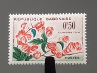 Timbre Gabon 1961 0.5 Franc CFA Afrique Centrale Saule (Combretum grandiflorum) Fleurs