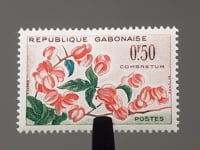 Gabon Stamp 1961 0.5 Central African CFA franc Bushwillow (Combretum grandiflorum) Flowers