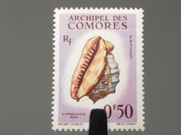 Timbre Comores 1962 0.5 Franc CFA Africain Français Coquille de Casque Rouge (Cypraecassis rufa)