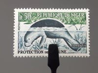 Timbre Niger 1962 0.5 Franc CFA Afrique de l'Ouest Lamantin d'Afrique (Trichechus manatus senegalensis) 