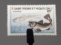Saint Pierre und Miquelon Briefmarke 1957 40 Centime Kabeljau (Gadus morrhua) Fisch