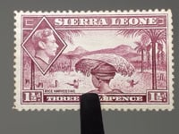 Timbre Sierra Leone George VI 1941 1 et demi penny récolte de riz