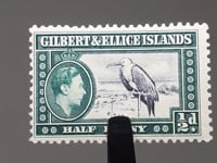 1939 ½ j Grande frégate des îles Gilbert et Ellice (Fregata minor)
