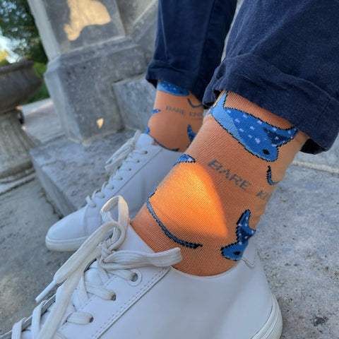 The Ultimate Ocean Lovers Collection