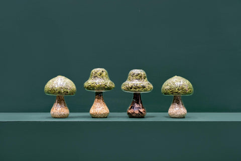 Mousse Champignon - Rond - Pierre Naturelle