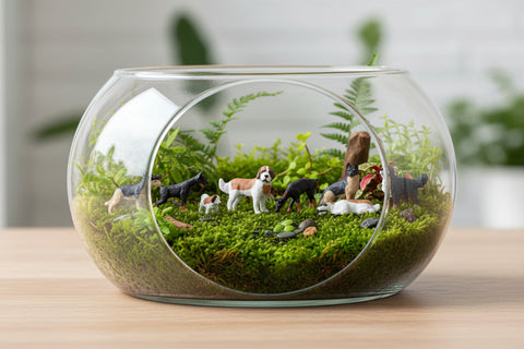 Dog (A) Terrarium  Figures 15717