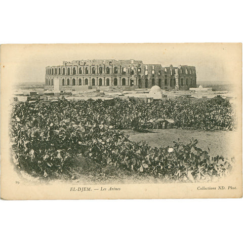 Roman Amphitheatre in El Djem, Tunisia Postcard – Early 20th Century