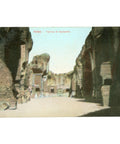 Rome, Italy – Terme di Caracalla – Postcard Mid - 20th Century