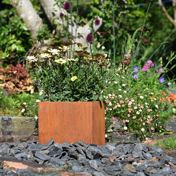 Rusty Square Plant Pot