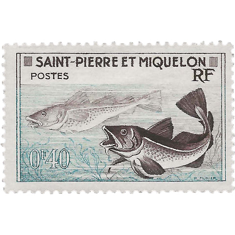 Saint Pierre and Miquelon Stamp 1957 40 centime Cod (Gadus morrhua) Fish