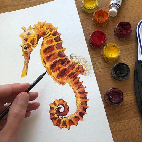 Seahorse greetings card