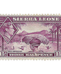 Sierra Leone Stamp George VI 1941 1 and Half Penny Rice Harvesting