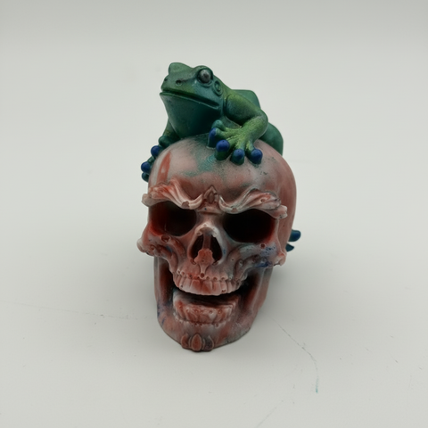Coral Marble Skull with Frog — Handmade Resin Art
